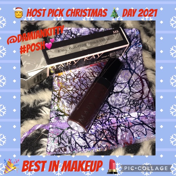 Mary Kay Other - Mary Kay liquid lip color Royal Plum New in box